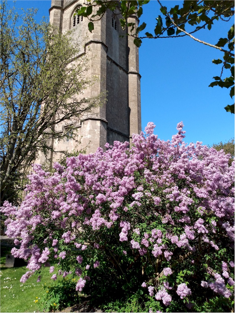  St Peter’s In Spring