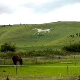 Pewsey Vale White Horse