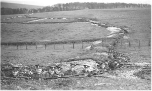 Rockley Down Trenches