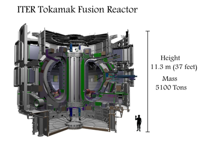 Tokamak Fusion Reactor