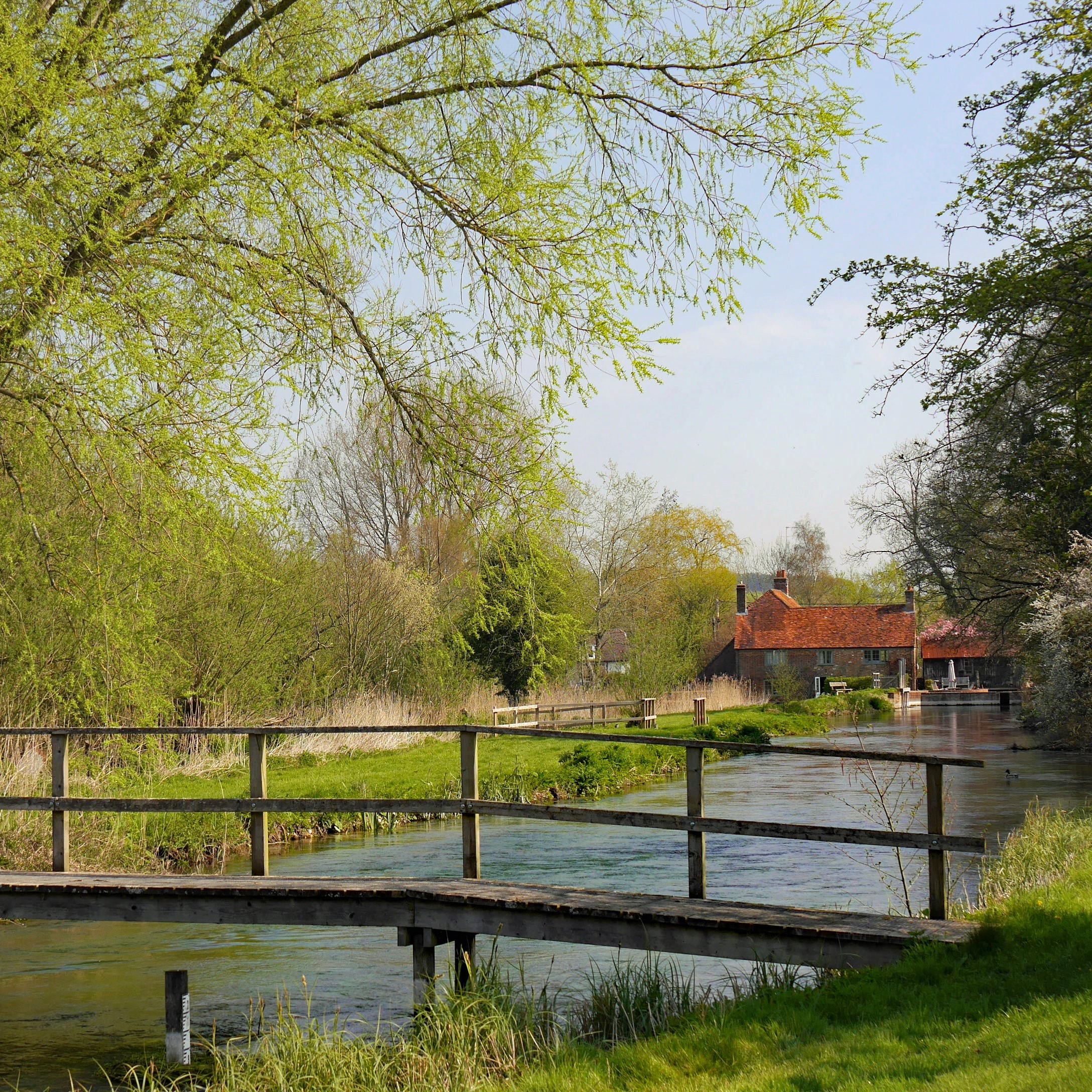  The Kennet at Stitchcombe