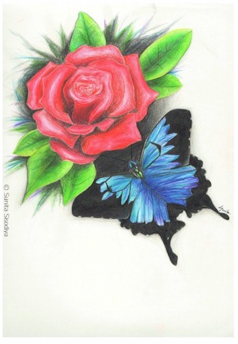 Rose and Butterfly, by Sunita Sisodiya